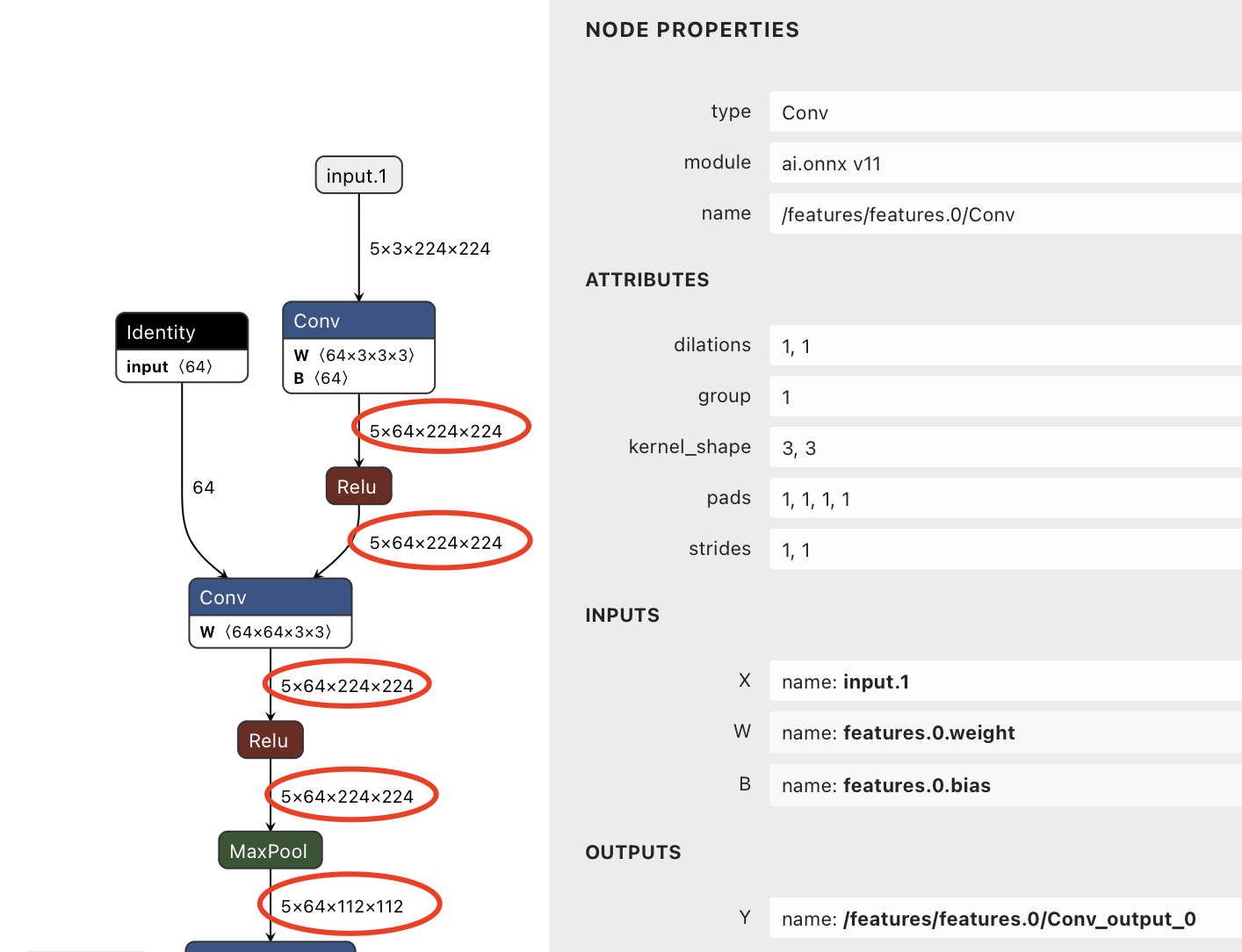 Netron plot NN structure